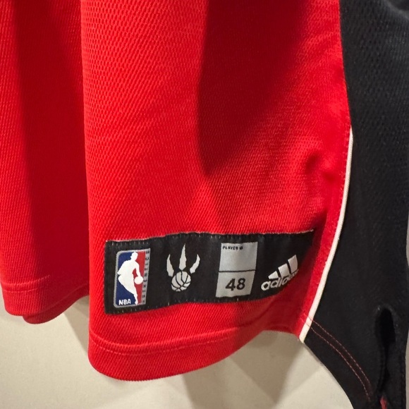 Chris Bosh Toronto Raptors NBA Basketball Jersey - Picture 3 of 8